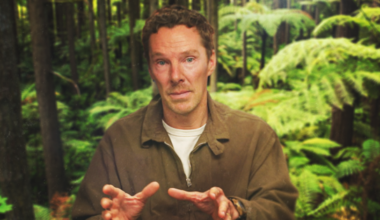 Benedict Cumberbatch backs NZ's push to put a price on nature