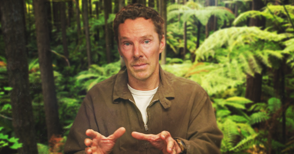 Benedict Cumberbatch backs NZ's push to put a price on nature