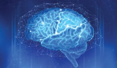 Real-Time Oxygen Delivery to the Brain