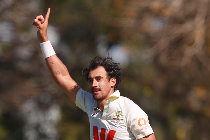 Mitch Starc holds up his hand