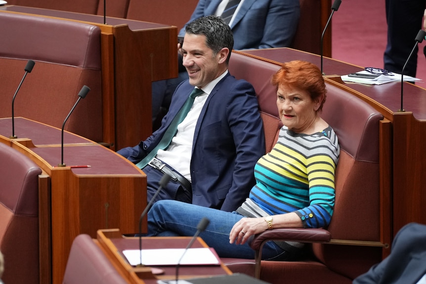 Liberal senator Alex Antic and One Nation leader Pauline Hanson both sitting in the red senate chairs next to each other