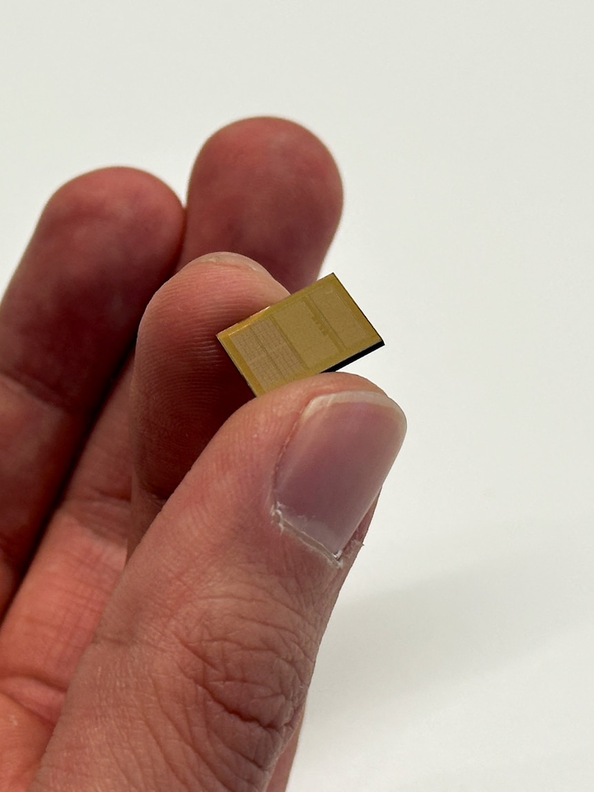 a microchip held between two fingers 