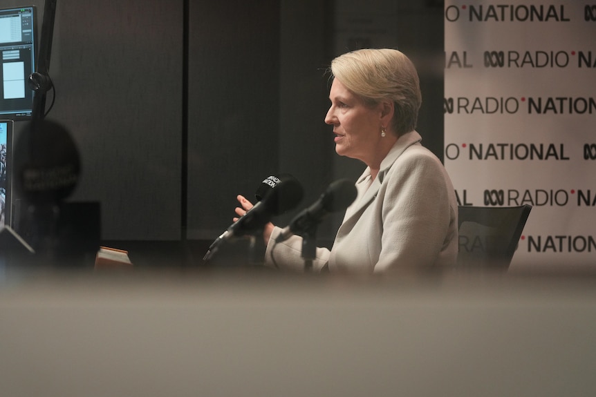 A woman in a grey suit speaking in a radio studio with a Radio National banner behind her
