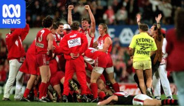 SCG madness, Lloyd taken to hospital and Lockett's point: The Swans-Bombers prelim, 30 years on