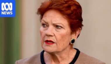 Indigenous leaders condemn Pauline Hanson for 'primitive race' remarks on First Nations' Australians