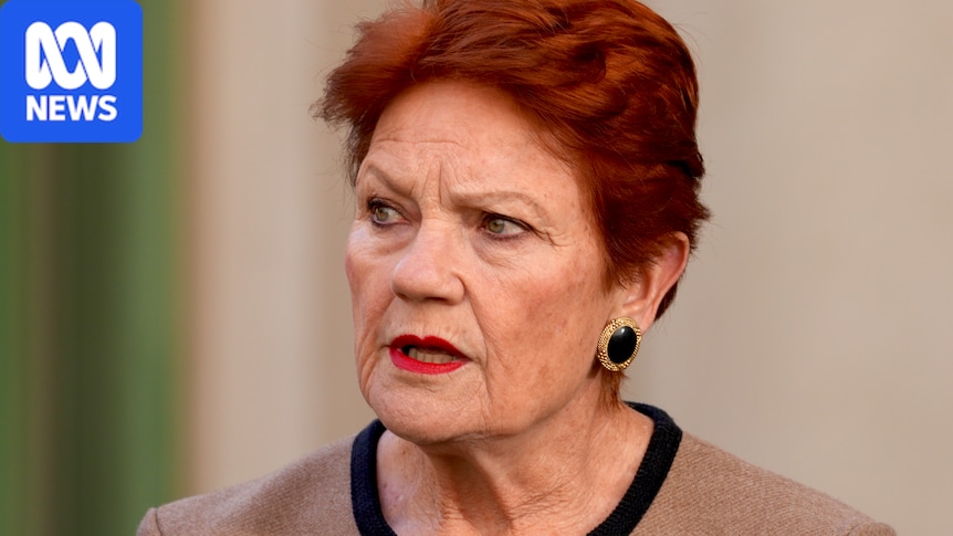 Indigenous leaders condemn Pauline Hanson for 'primitive race' remarks on First Nations' Australians