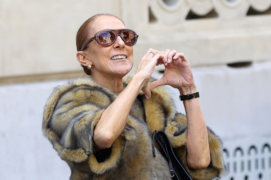 Céline Dion Hops Atop Car to Sing With Fans in Paris