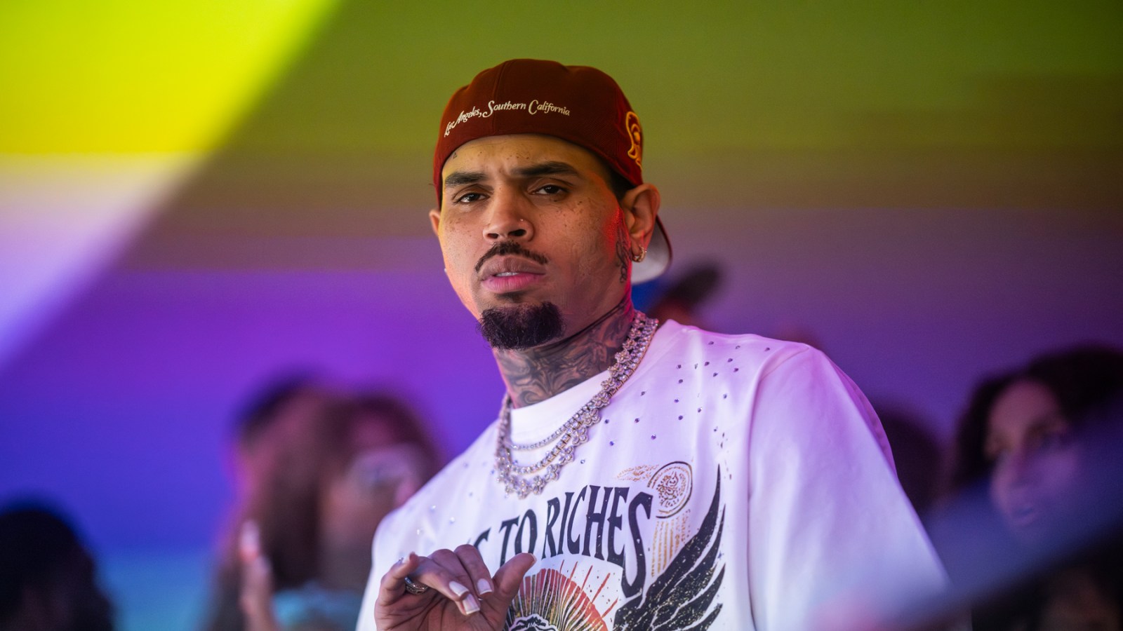 Judge Poised to Cut $12.9 Million Jury Award in Chris Brown Dog Attack