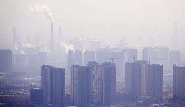Air Pollution Damages Cellular Energy, Raises Heart Disease Risk