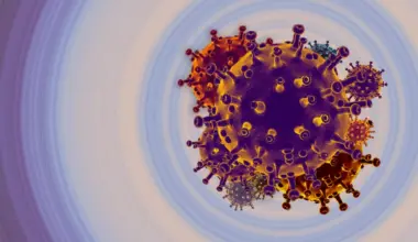 Human Jumping Gene BC200 Found Inside a Poxvirus