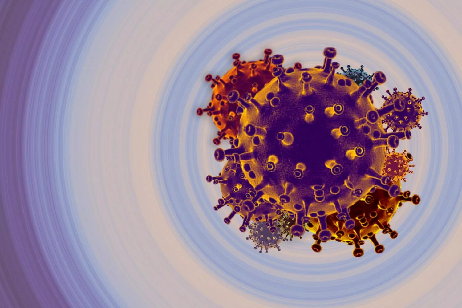 Human Jumping Gene BC200 Found Inside a Poxvirus