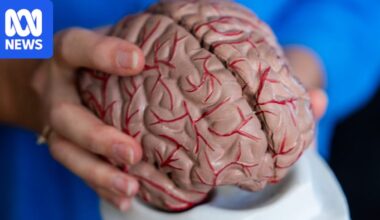 Scientists worried about impact of AI on deep thinking as a new study shows early effects on learning
