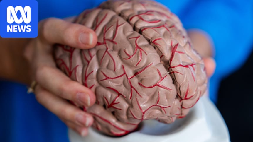 Scientists worried about impact of AI on deep thinking as a new study shows early effects on learning