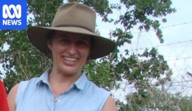 Darwin teacher seeks review of registration suspension following allegations concerning 'child welfare'