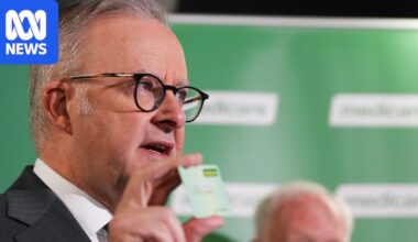 OpenAI hacked Medicare portal, Prime Minister Anthony Albanese says