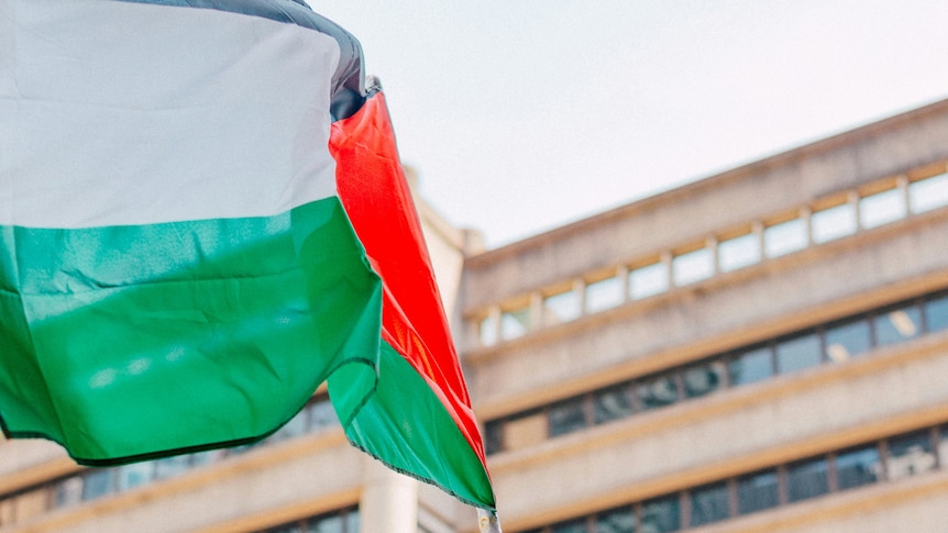 Australia and Palestine, from archive to recognition — a history that needs to be recovered