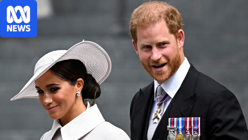 King clarifies Prince Harry's status to government officials to 'avoid confusion'