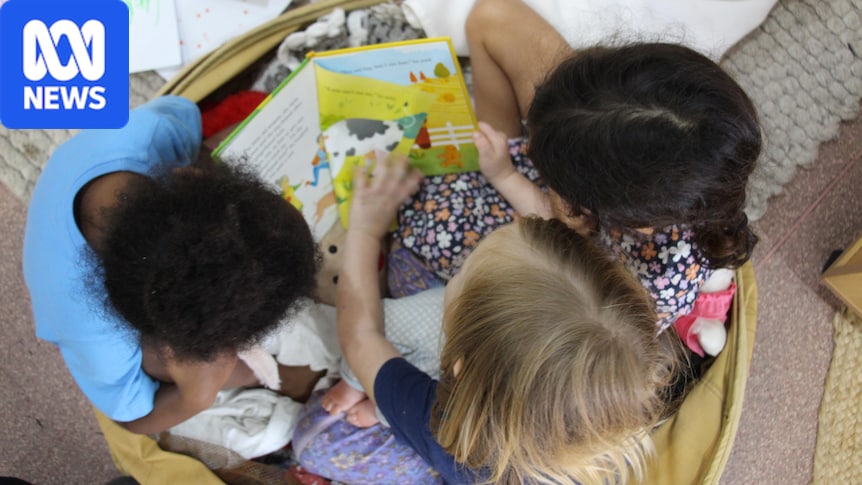 Calls for national reading strategy as fewer Australian children read for fun