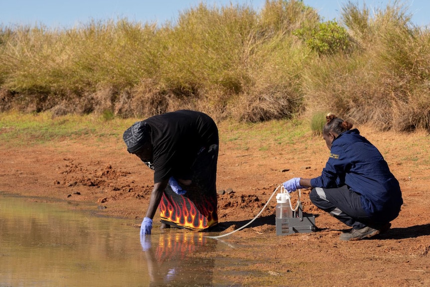 Four women, three of them crouched, with blue gloves next to desert water hole collecting samples.