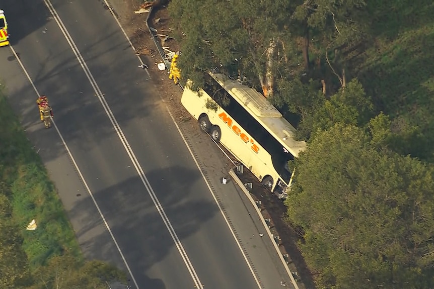 A bus has crashed into trees with an ambulance parked on the other side of the road.