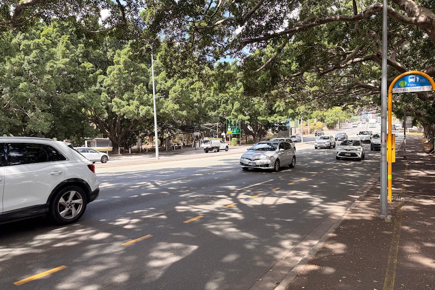 Trees shade Kelvin Grove Road.