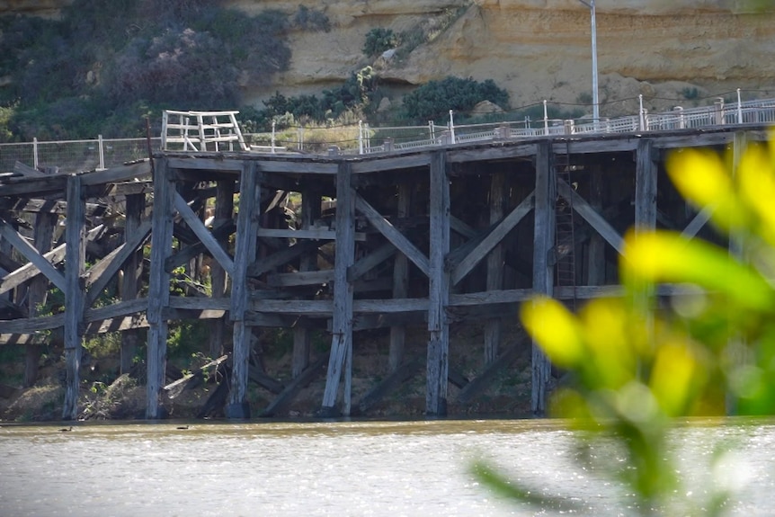 A wooden wharf in the river on a sunny day, with bushes in the foreground.