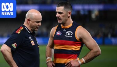 After Adelaide's crushing AFL semifinal loss, where to from here?