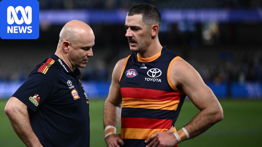 After Adelaide's crushing AFL semifinal loss, where to from here?