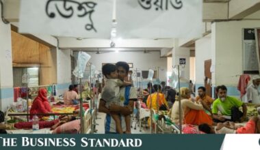 Dengue cases surge; experts warn outbreak could worsen