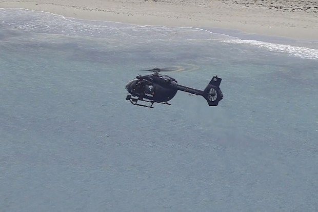 Authorities have ordered a shark be destroyed after it killed a man in an attack close to shore at a popular Perth beach.