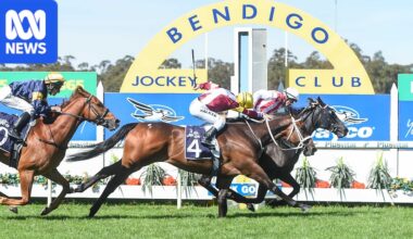 Bendigo keeps public holiday for local horse race, despite push from businesses