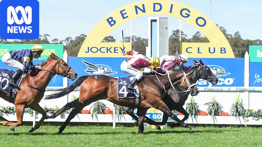 Bendigo keeps public holiday for local horse race, despite push from businesses