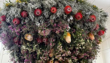 This spring flower festival is one of WA’s best - The West Australian