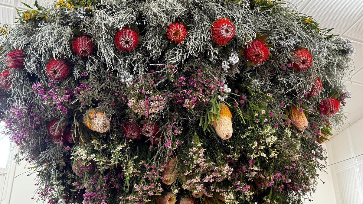 This spring flower festival is one of WA’s best - The West Australian