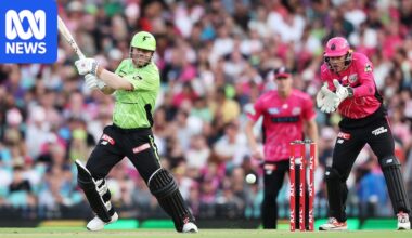 Cricket NSW fears negative consequences of Big Bash private investment