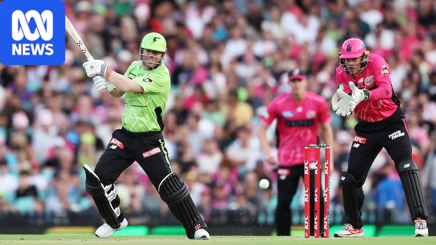 Cricket NSW fears negative consequences of Big Bash private investment