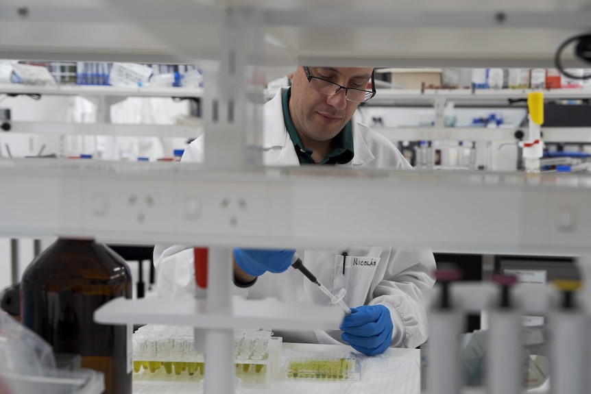 Man in lab coat seen through shelves using dropper to put green liquid into vials