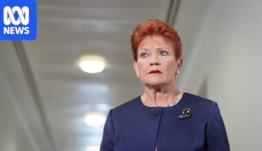 Pauline Hanson offers qualified apologies to Indigenous Australians and Anthony Albanese