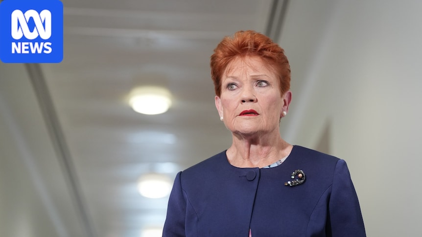 Pauline Hanson offers qualified apologies to Indigenous Australians and Anthony Albanese