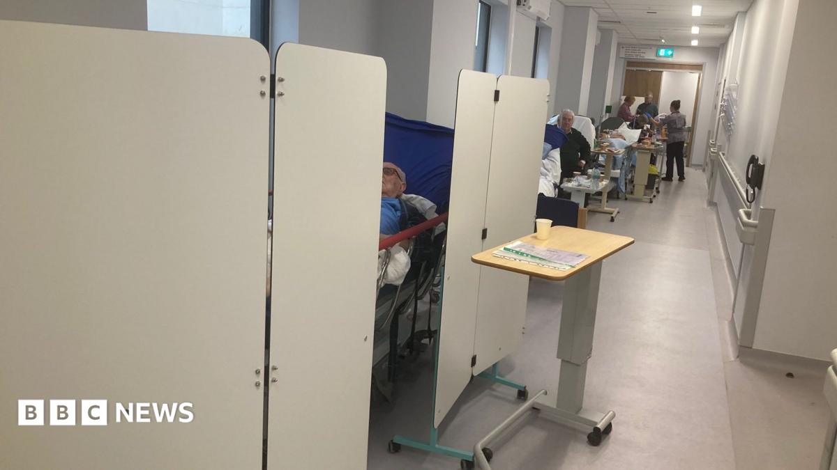 Image shows a hospital corridor. There is a bed on the left-hand side of the image, surrounded by privacy screens. An elderly man is just visible lying on a bed largely obscured behind the screens. In the background, a number of other, mainly elderly, people can be seen on beds and trolleys lining the wall of the corridor.