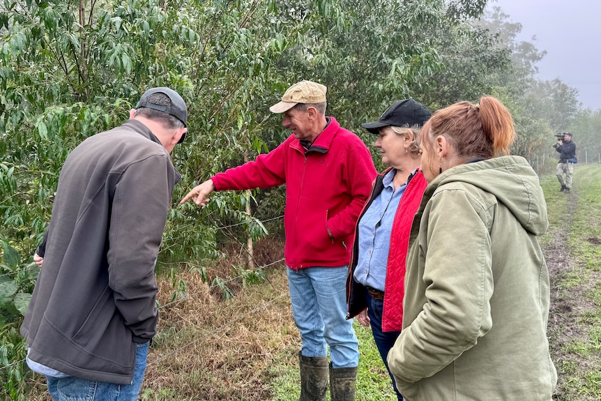 Four people look at the thick vegetation growing on the other side of an electric fence.