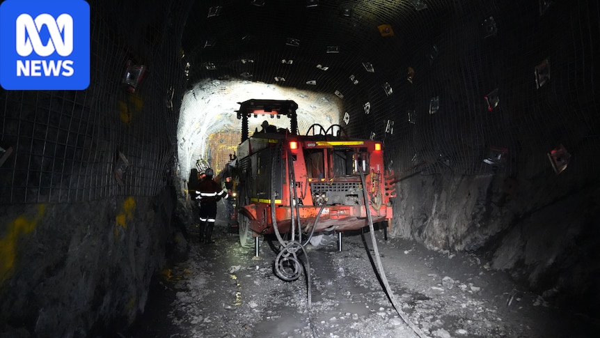 Antimony price spike leads to new life for disused mine near Armidale