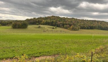 A prairie enthusiast in search of a farming land ethic