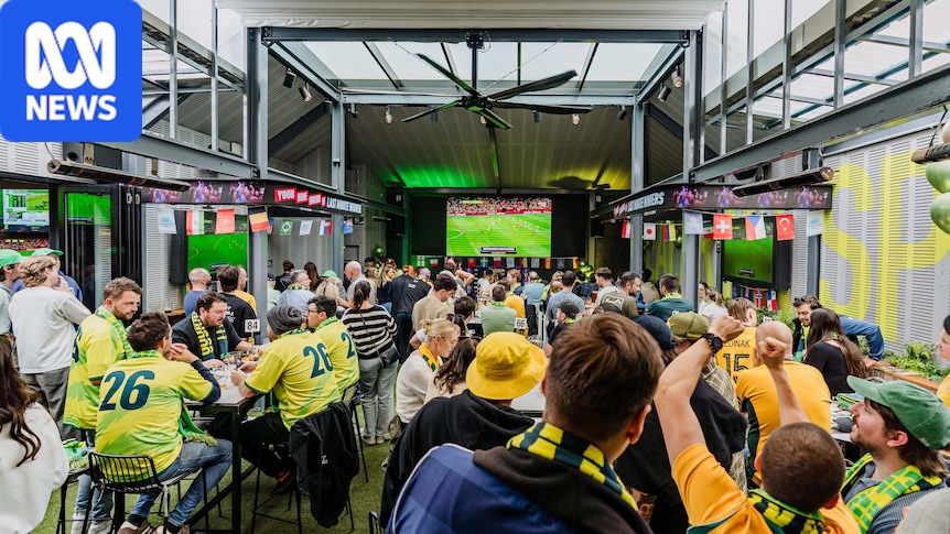 Victorian Labor to extend pub hours til 3am, allow dogs if re-elected