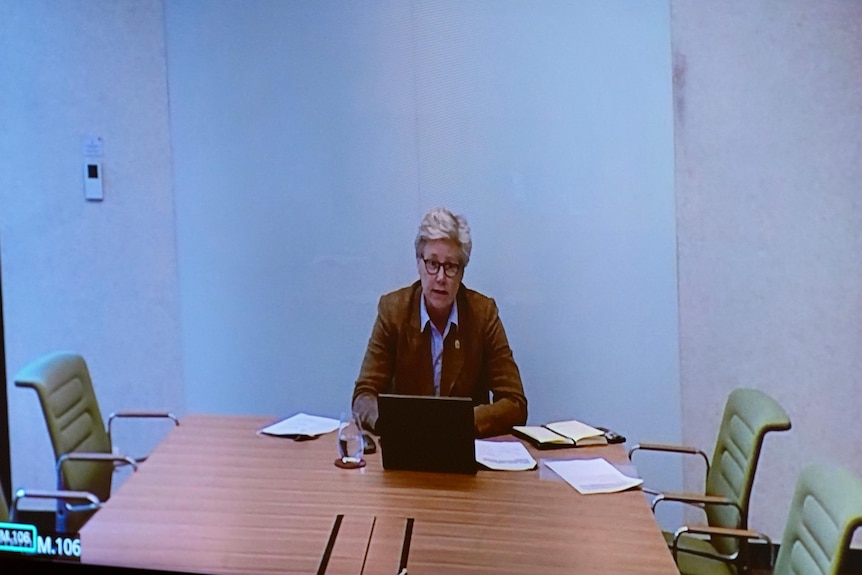 A woman sitting at a table talking into a laptop