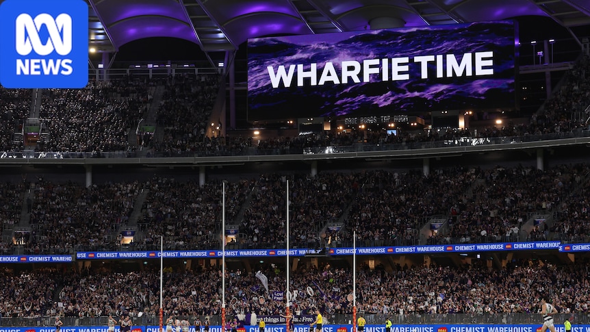What is Wharfie Time? How Fremantle's viral celebration backfired in the AFL grand final