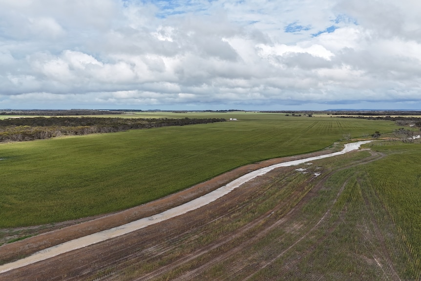A channel of brown water between fields.