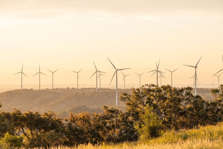A wind farm with more than 10 turbines in the countryside at sunset.