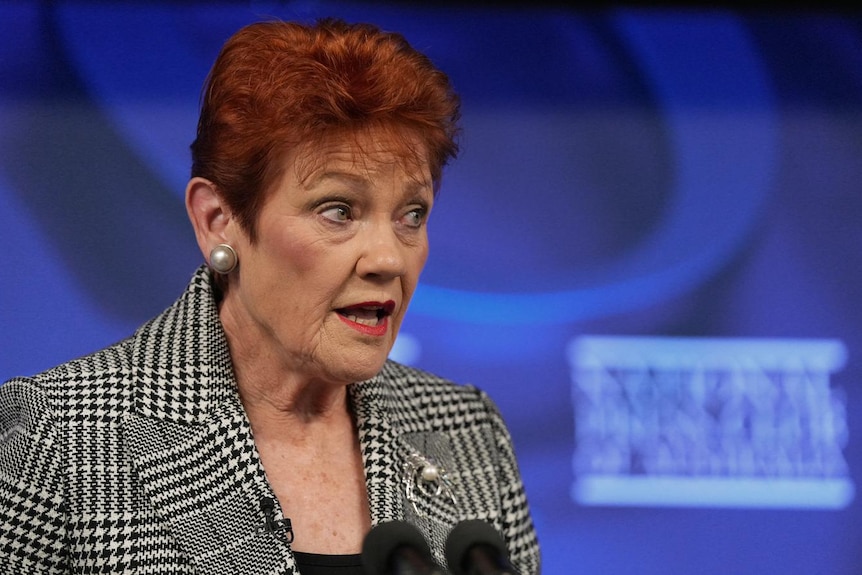A woman in a check blazer speaks in front of microphones, with a blue backdrop.