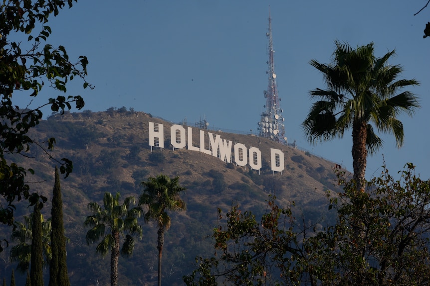 The white Hollywood sign seen through the tops of palm trees on a brown hill next to a tall telecommunications tower.